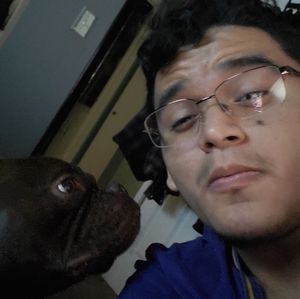 Meet your Posher, Leonardo